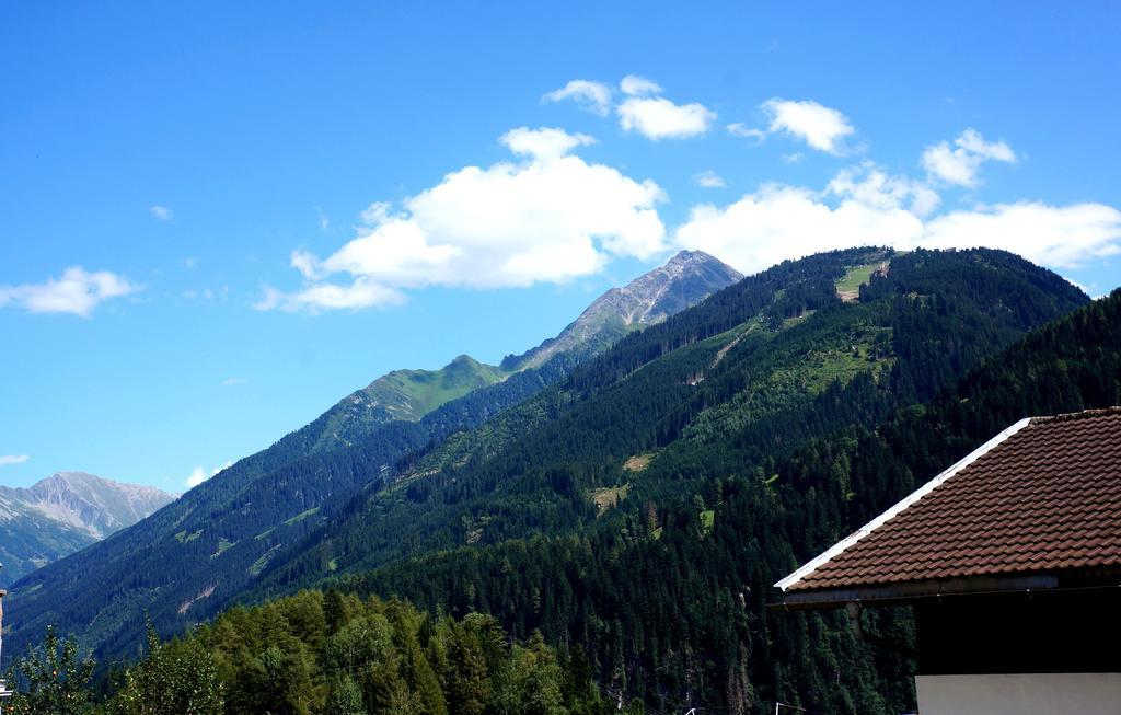 Roasnerhof Lägenhet Finkenberg Rum bild